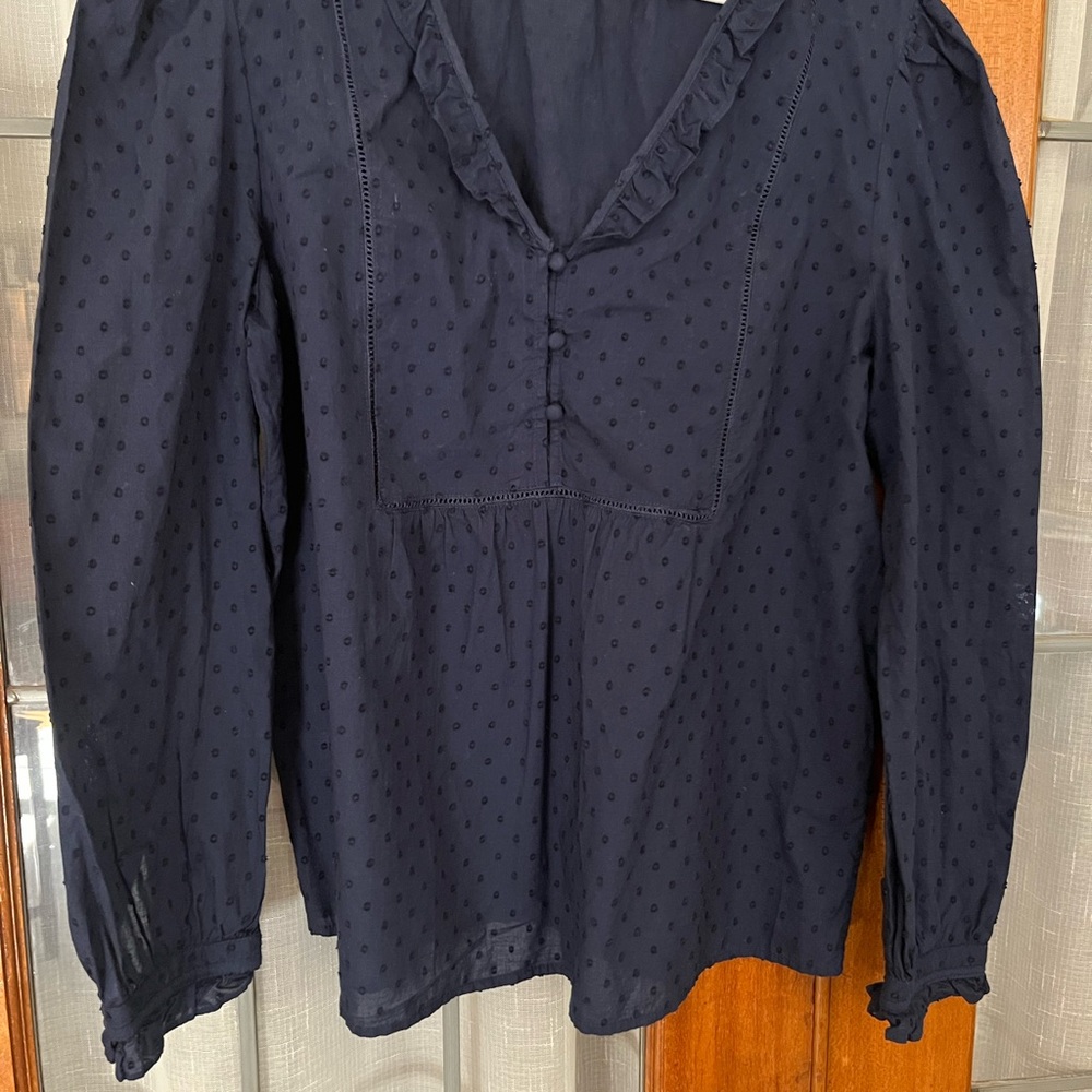 LOFT Blue Puff Sleeve Ruffled Blouse